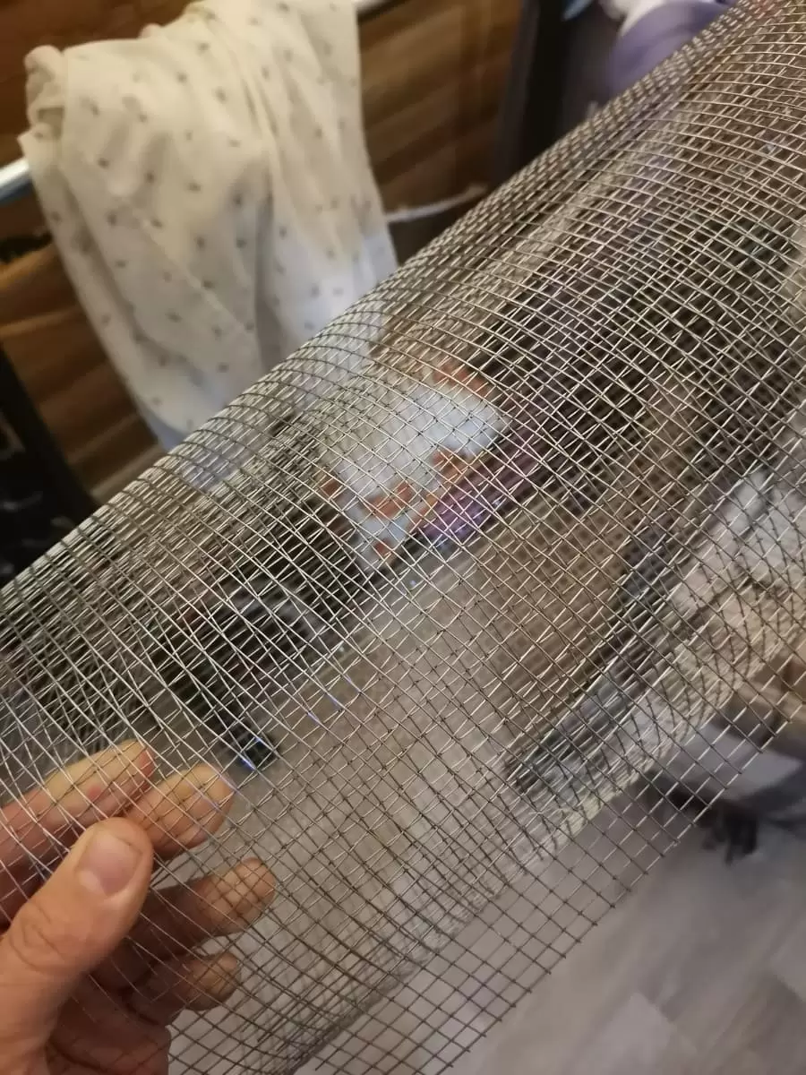 Сетка сварная, ячейка 6х6мм (рулон 1х15 м) толщина 0,6 мм ГОСТ , оцинкованная от грызунов: купить оптом и в розницу в интернет магазине Сталь Крепеж - размеры, цены, характеристики. Сетка сварная, ячейка 6х6мм (рулон 1х15 м) толщина 0,6 мм ГОСТ , оцинкованная от грызунов оптом и в розницу на сайте Сталь Крепеж